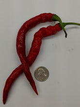 Load image into Gallery viewer, Seeds - Turkish Cayenne
