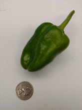 Load image into Gallery viewer, Sweet Sampler (Peppers, 5 lb)