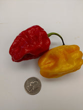 Load image into Gallery viewer, Habanero (1 lb)